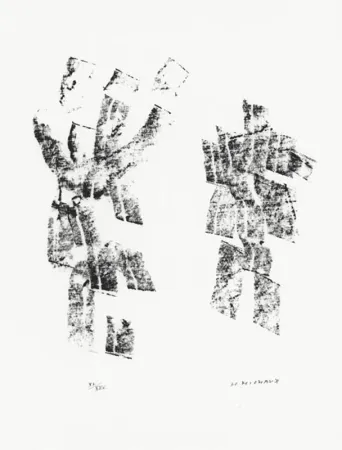 Illustriertes Buch Michaux - Décisive pliure du ciel