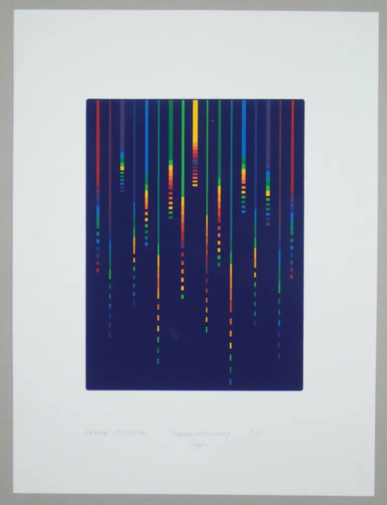 Siebdruck Minoli - Composizione (e)