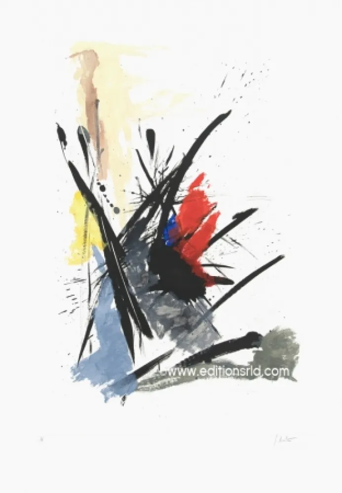 Radierung Und Aquatinta Miotte - L'iroquois