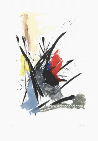 Radierung Und Aquatinta Miotte - L'iroquois