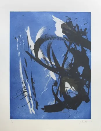 Radierung Miotte - Propos délibérés océan