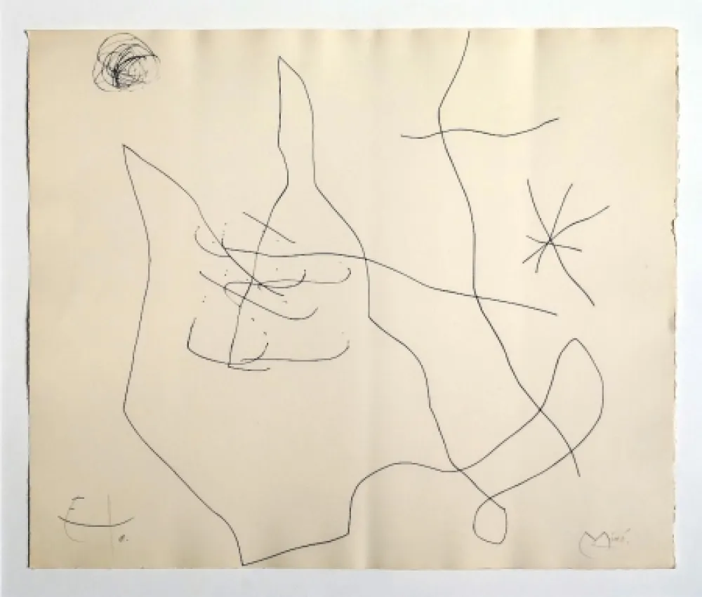 Stich Miró - Flux de l'aimant