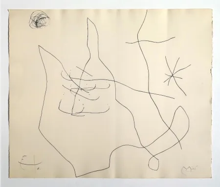 Stich Miró - Flux de l'aimant