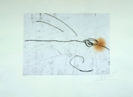 Radierung Und Aquatinta Miró - Lapidari, Aquilinus