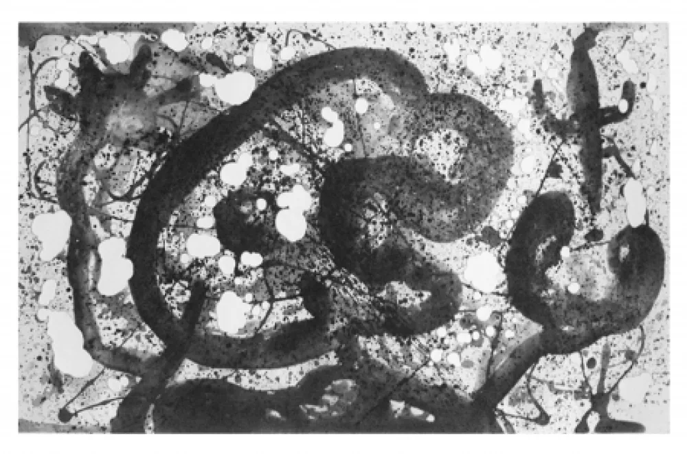 Stich Miró - Les géants