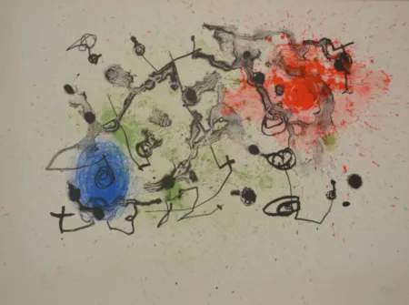 Lithographie Miró - Series II Blue Red And Green - M294