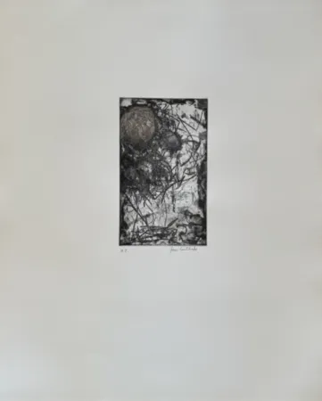 Radierung Und Aquatinta Mitchell - Sunflower I