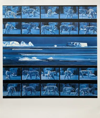 Plakat Monory - Dream tiger No 4