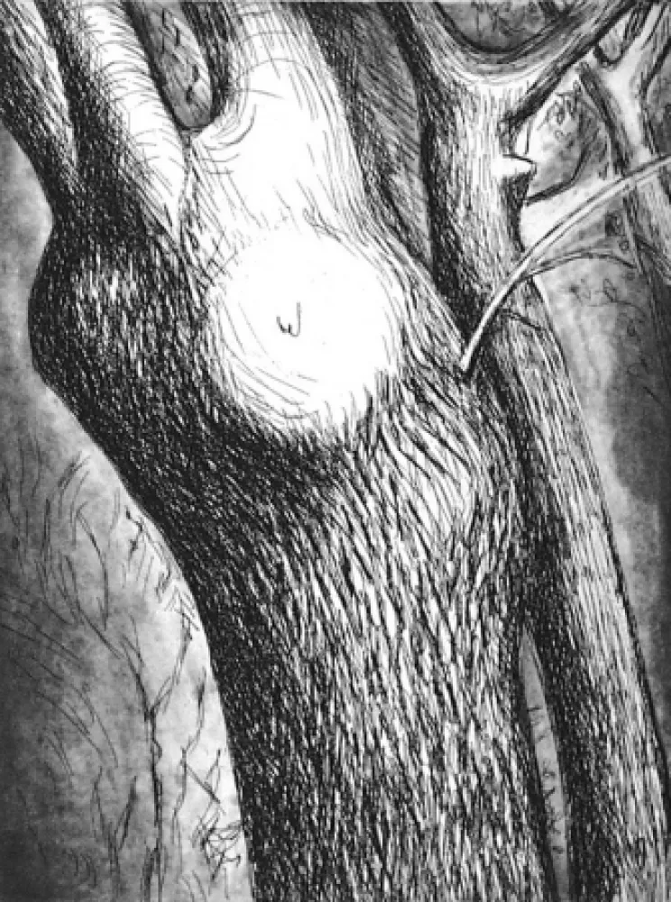 Radierung Und Aquatinta Moore - Trees VI dead ash