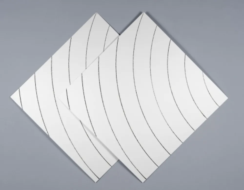 Siebdruck Morellet - Ondes parasites 1