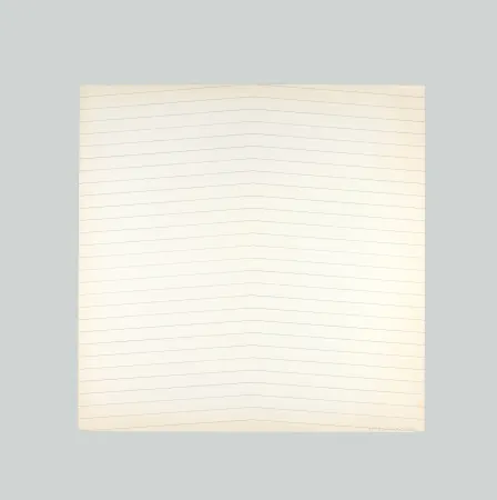 Siebdruck Morellet - Trames