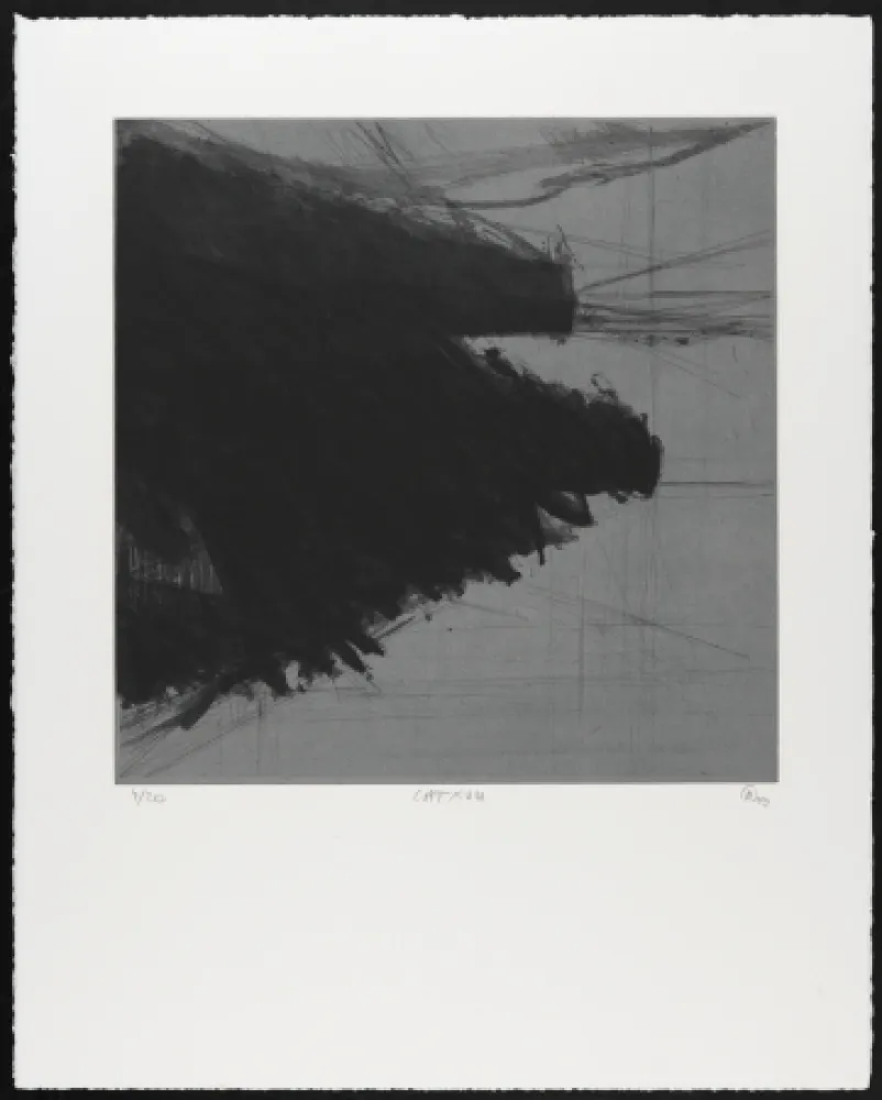 Stich Moriette - CAT XVIII