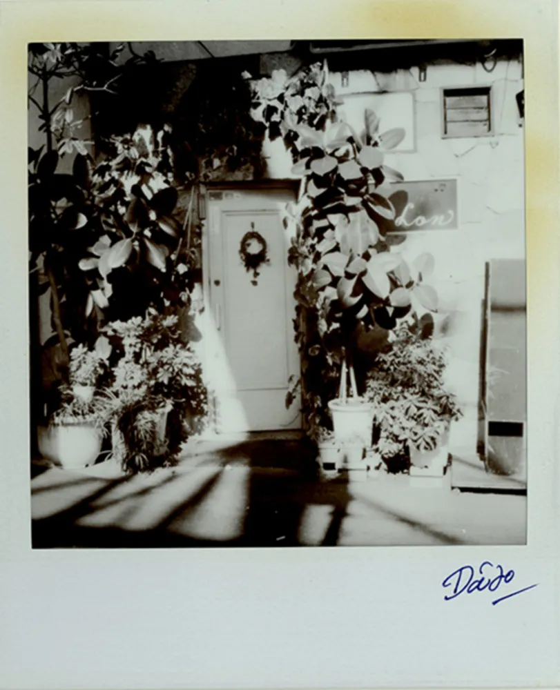 Multiple Moriyama - Passage 3