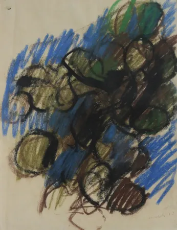 Keine Technische Morlotti - FICHI D'INDIA