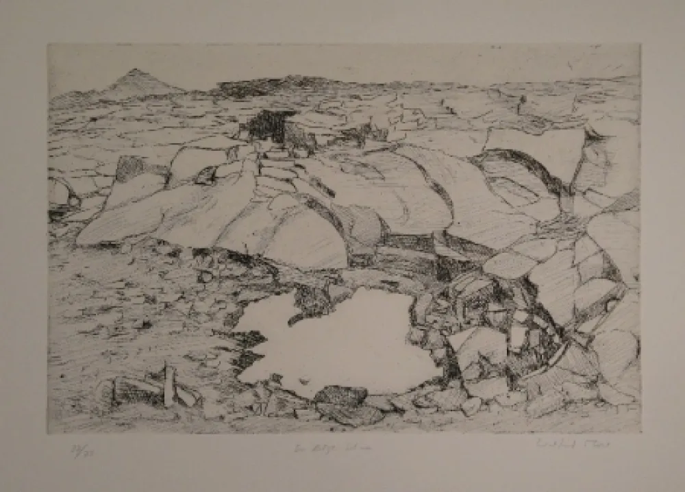 Stich Moser - Der letzte Schnee