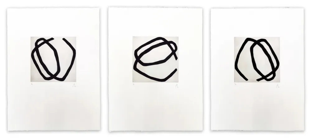 Aquatinta Muckensturm - 12.5