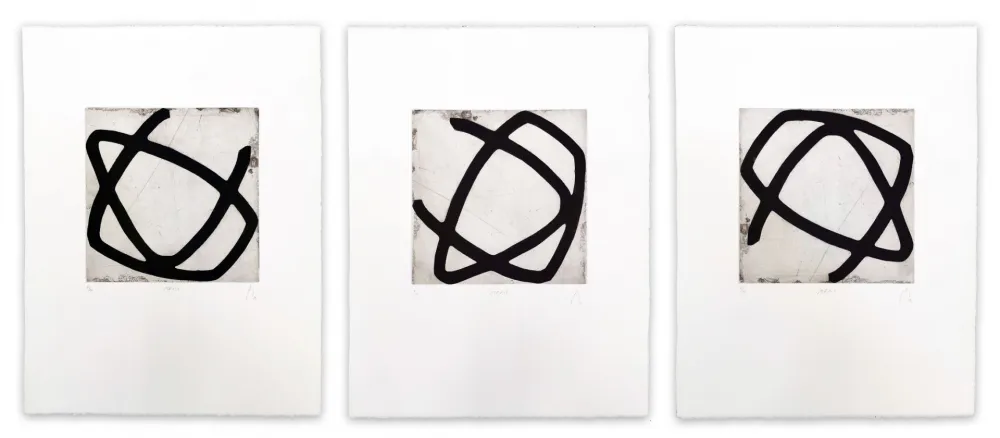 Aquatinta Muckensturm - 13R1