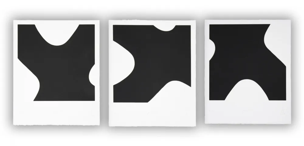 Aquatinta Muckensturm - 14.3