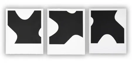 Aquatinta Muckensturm - 14.3