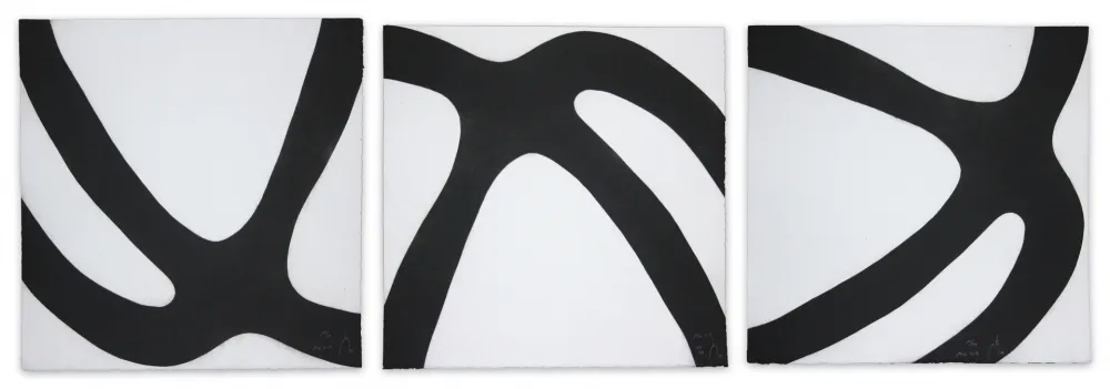 Aquatinta Muckensturm - 14c2