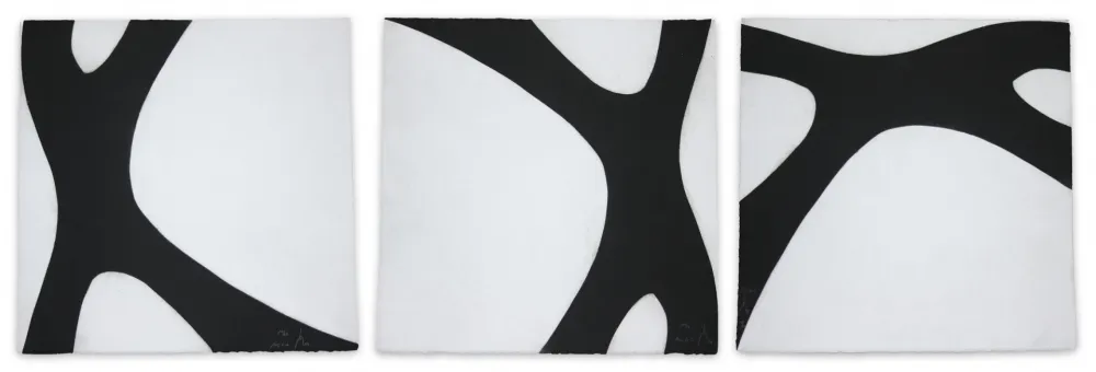 Aquatinta Muckensturm - 14C6