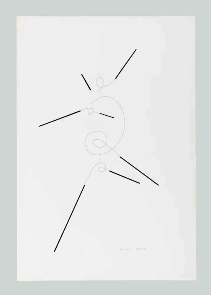 Siebdruck Munari - Macchina inutile