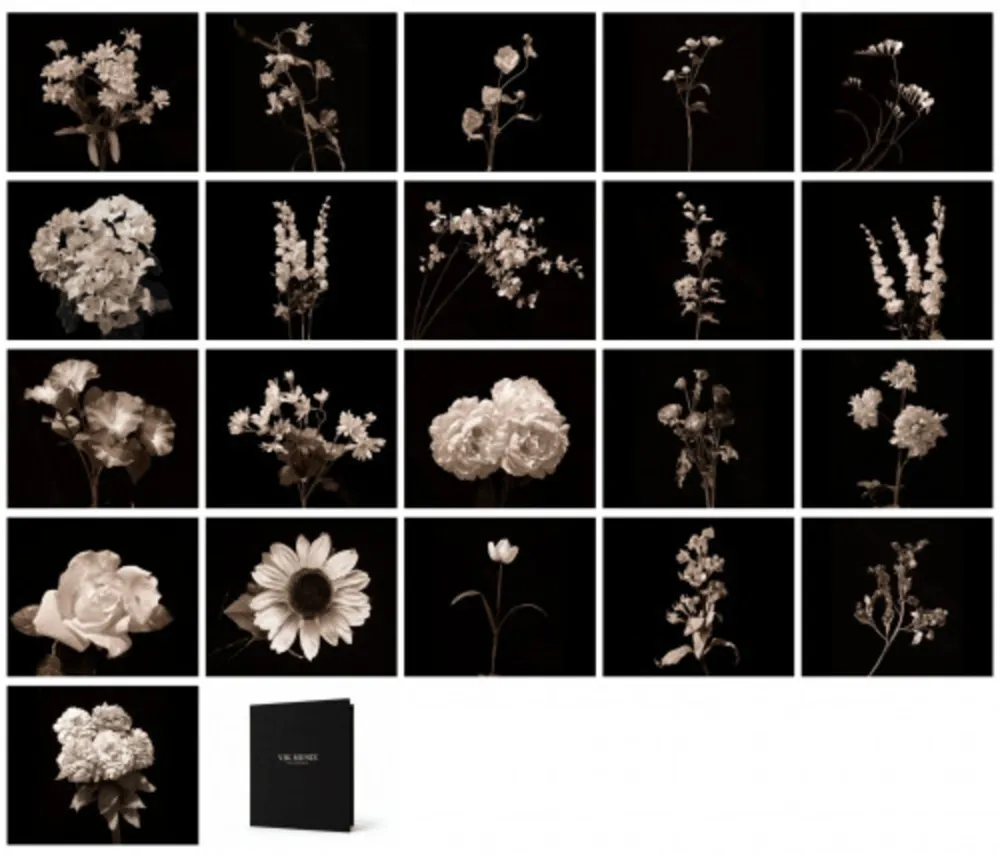 Fotografie Muniz - Flora Industrialis B/N