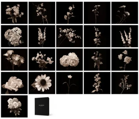Fotografie Muniz - Flora Industrialis B/N