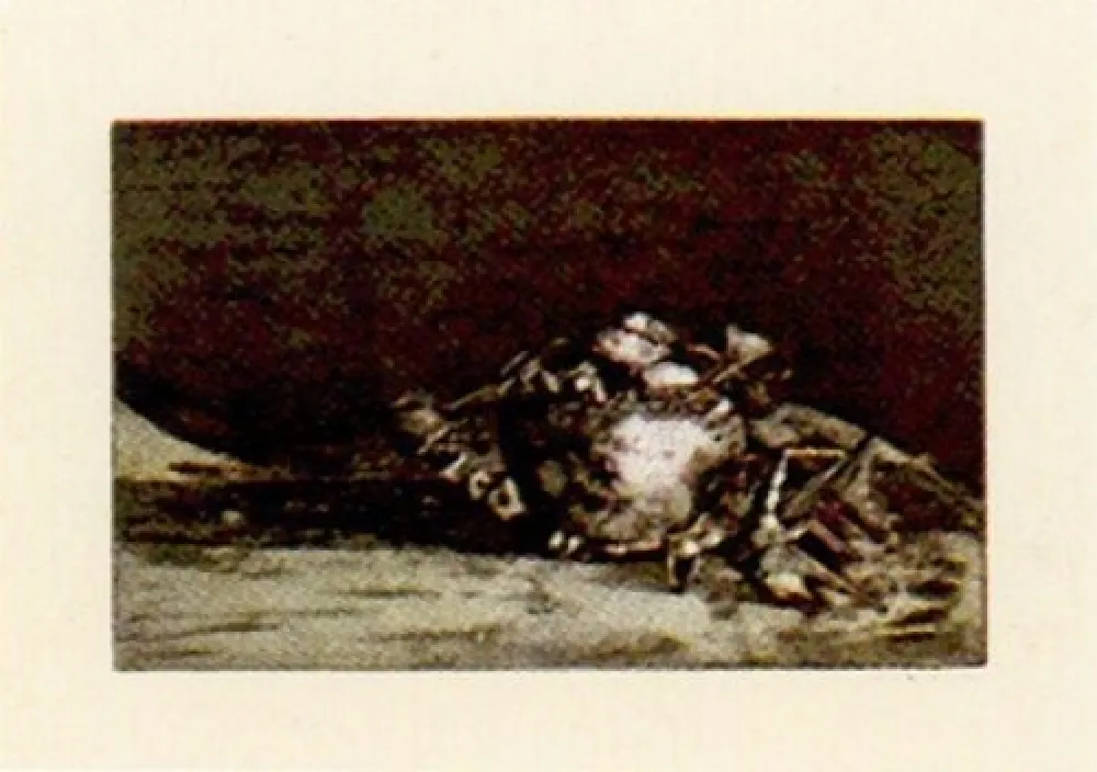 Stich Muñoz - LLM-4