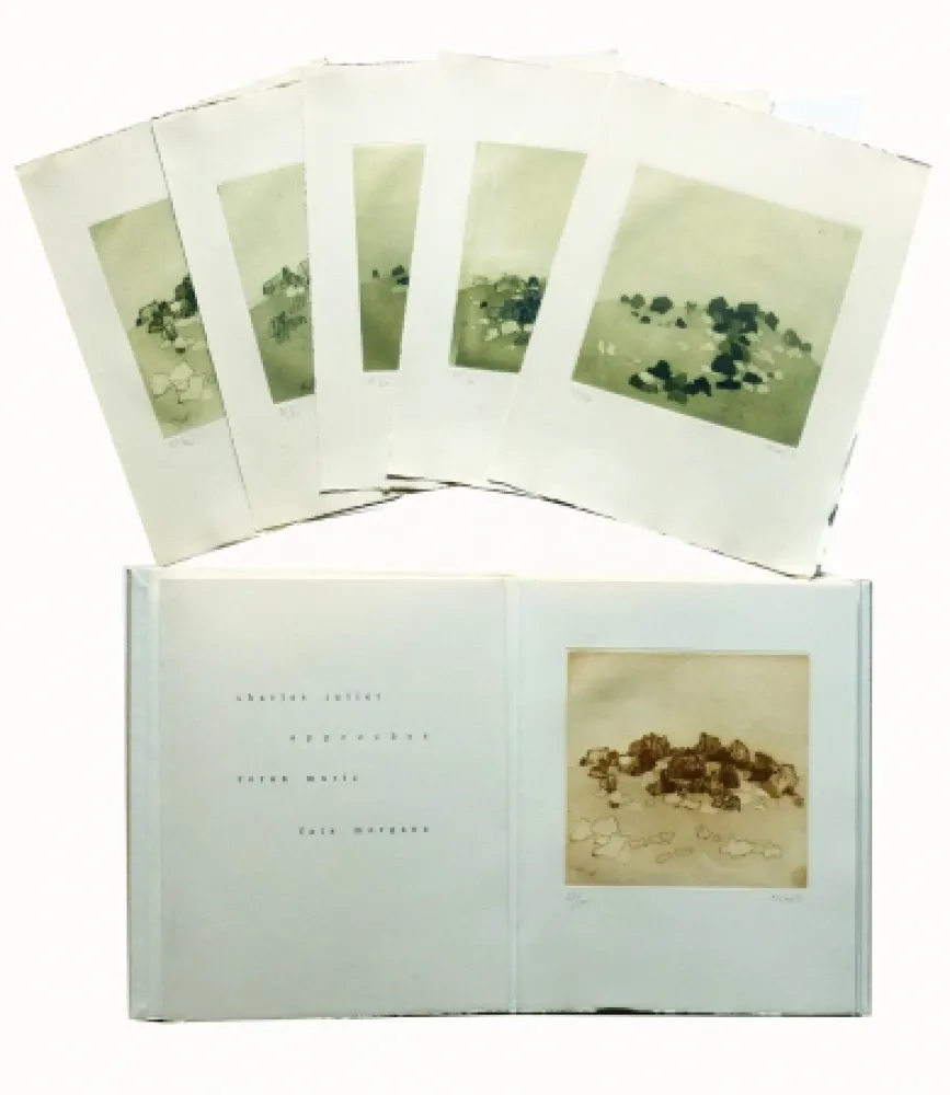 Illustriertes Buch Music - Approches