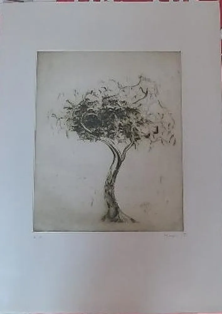 Stich Music - Baum (1975)