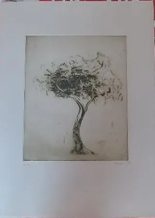 Stich Music - Baum (1975)