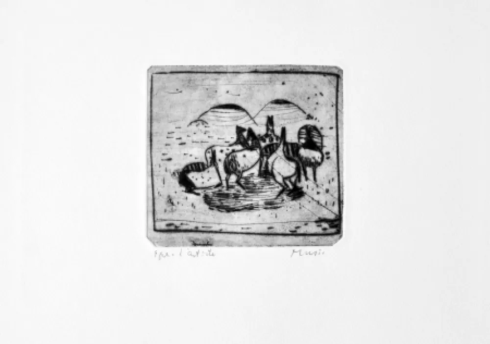 Stich Music - Cavallini