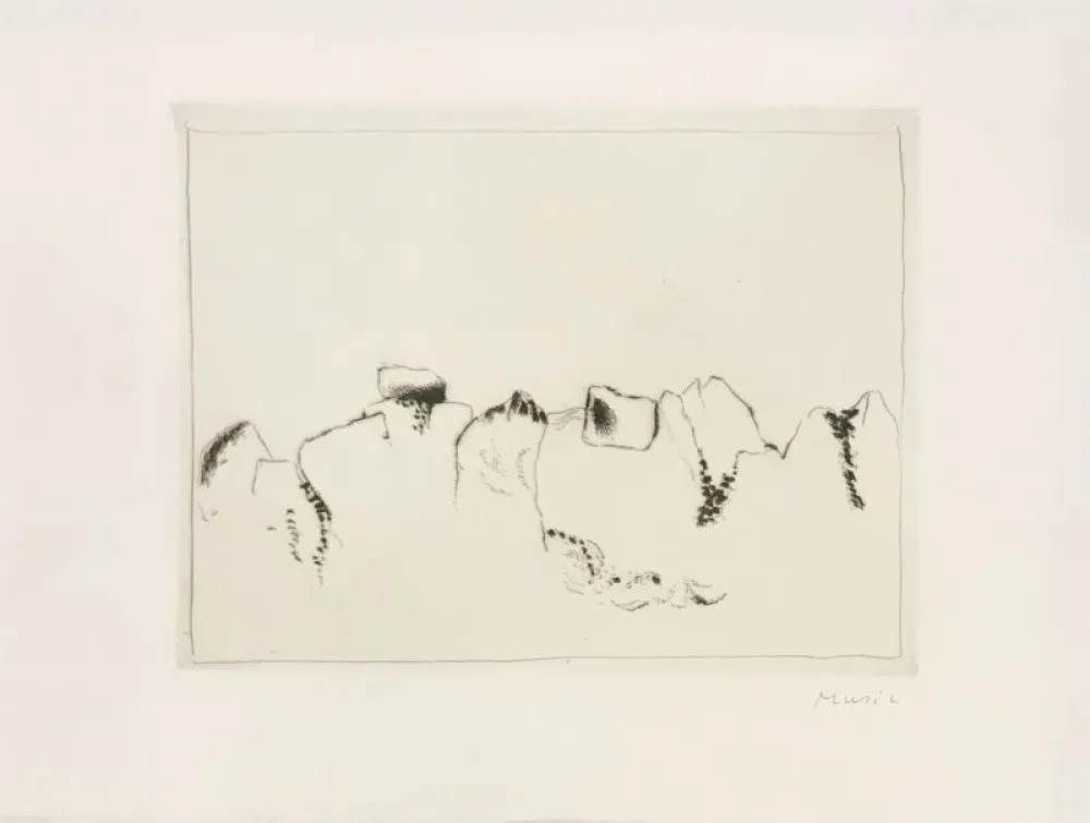 Stich Music - Jardins déserts peut-être 