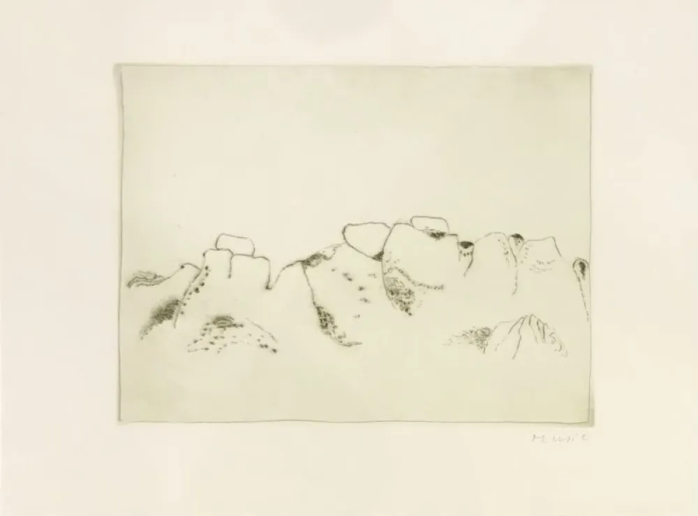 Stich Music - Jardins déserts peut-être 