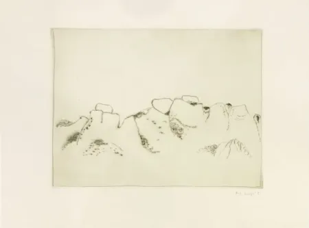 Stich Music - Jardins déserts peut-être 