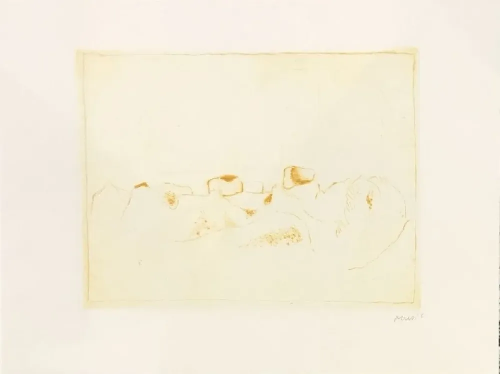 Stich Music - Jardins déserts peut-être 