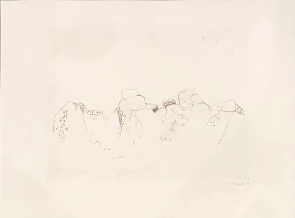 Stich Music - Jardins déserts peut-être 