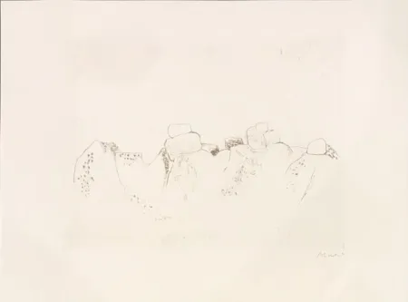 Stich Music - Jardins déserts peut-être 