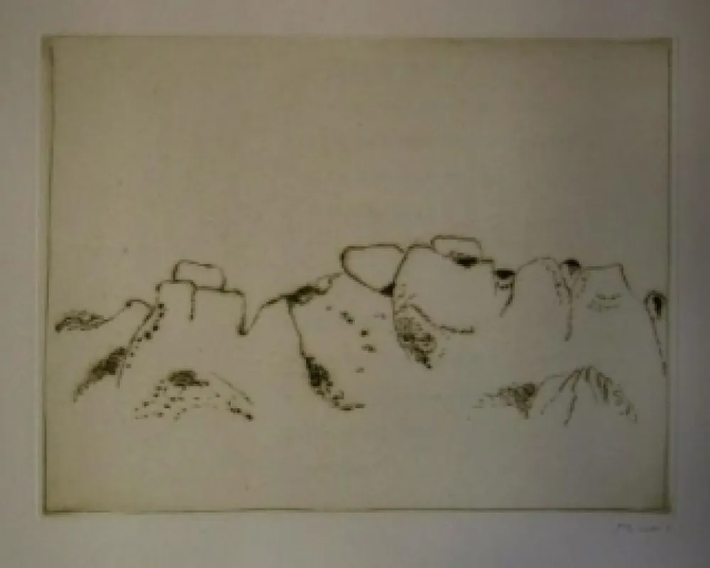 Illustriertes Buch Music - Jardins déserts peut-être