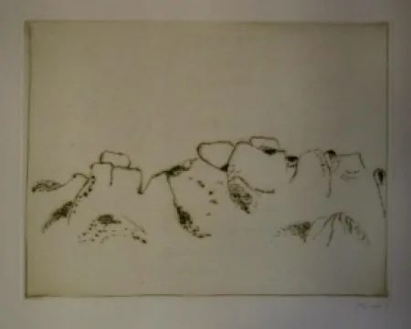 Illustriertes Buch Music - Jardins déserts peut-être