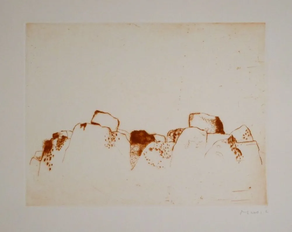 Illustriertes Buch Music - Jardins déserts peut-être