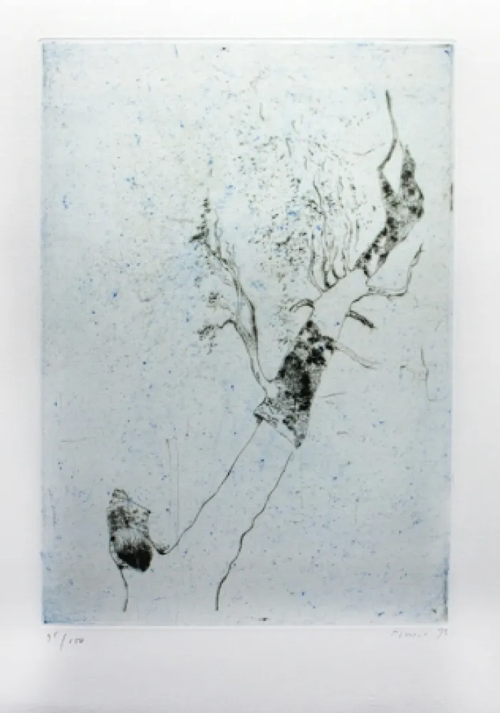 Stich Music - Motif végatal