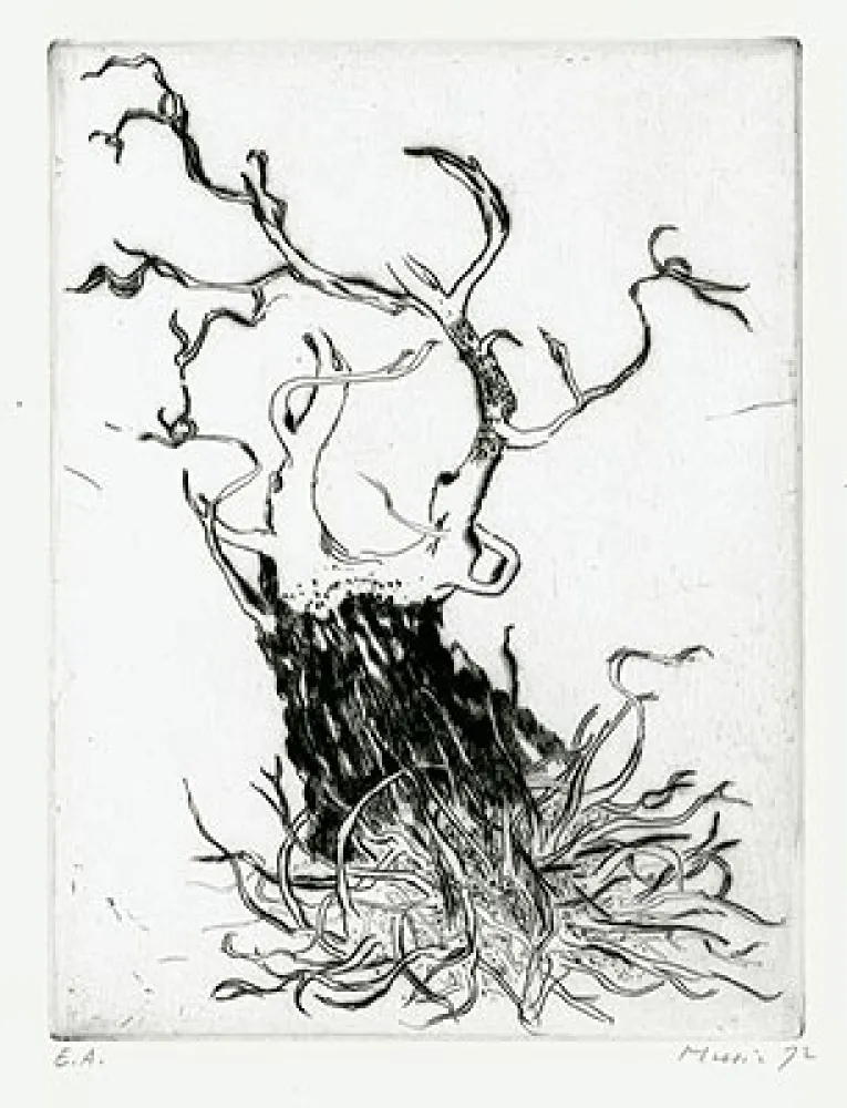 Stich Music - Motif Végétal