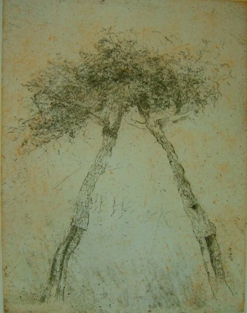 Aquatinta Music - Motif vegetal