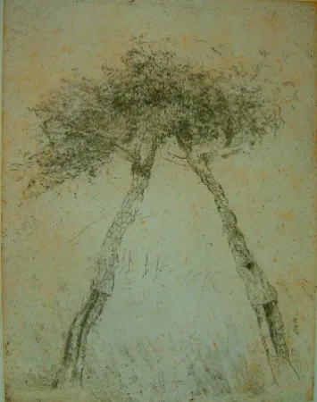 Aquatinta Music - Motif vegetal