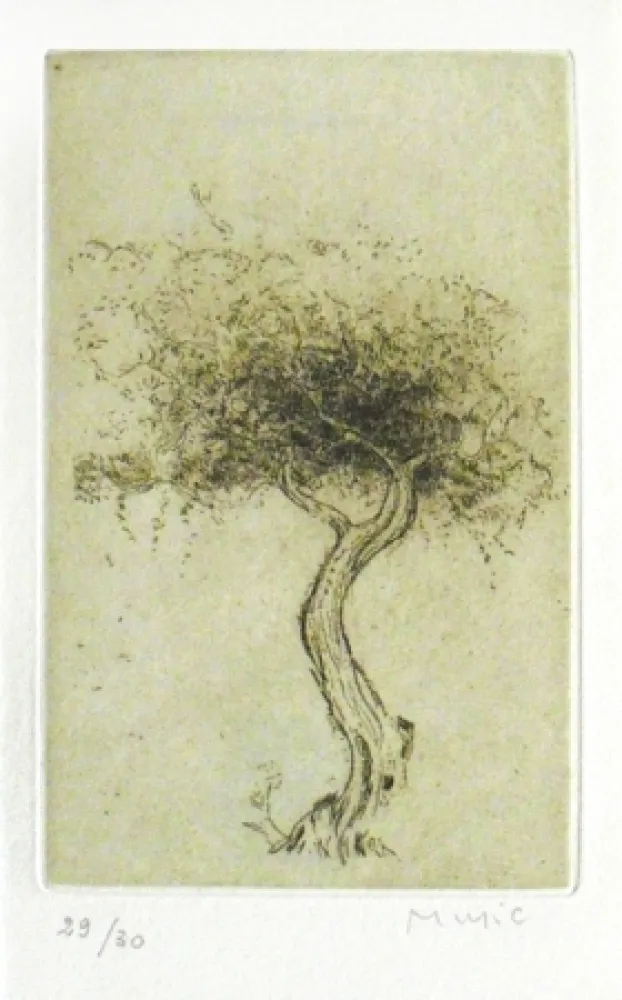 Illustriertes Buch Music - Prières