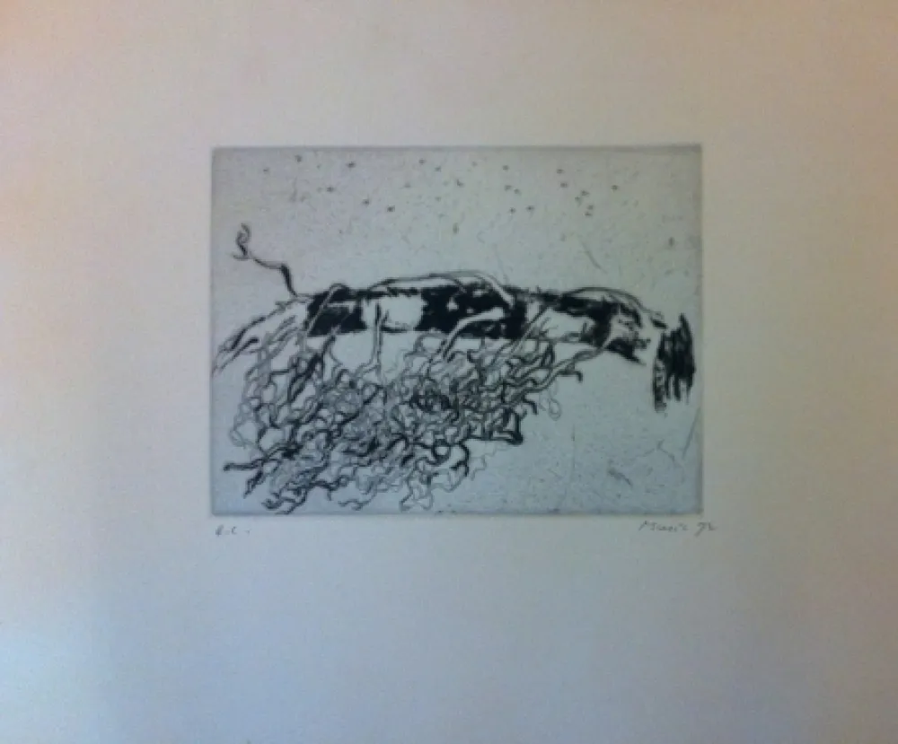 Stich Music - Sans titre 