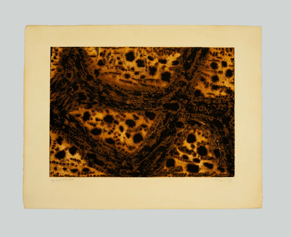 Stich Music - Terre dalmate