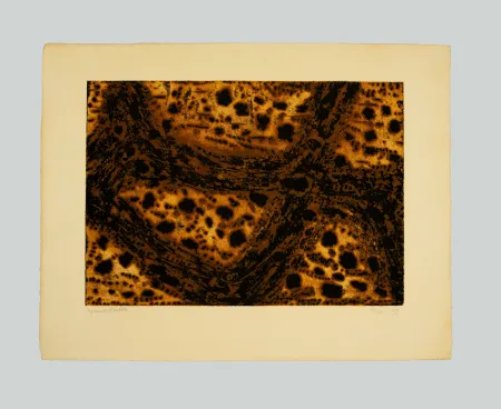 Stich Music - Terre dalmate